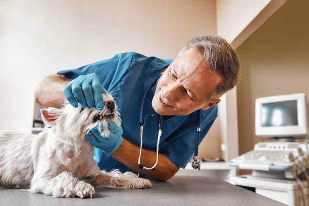 Best Emergency Wisdom Tooth Extraction in Winthrop, IA